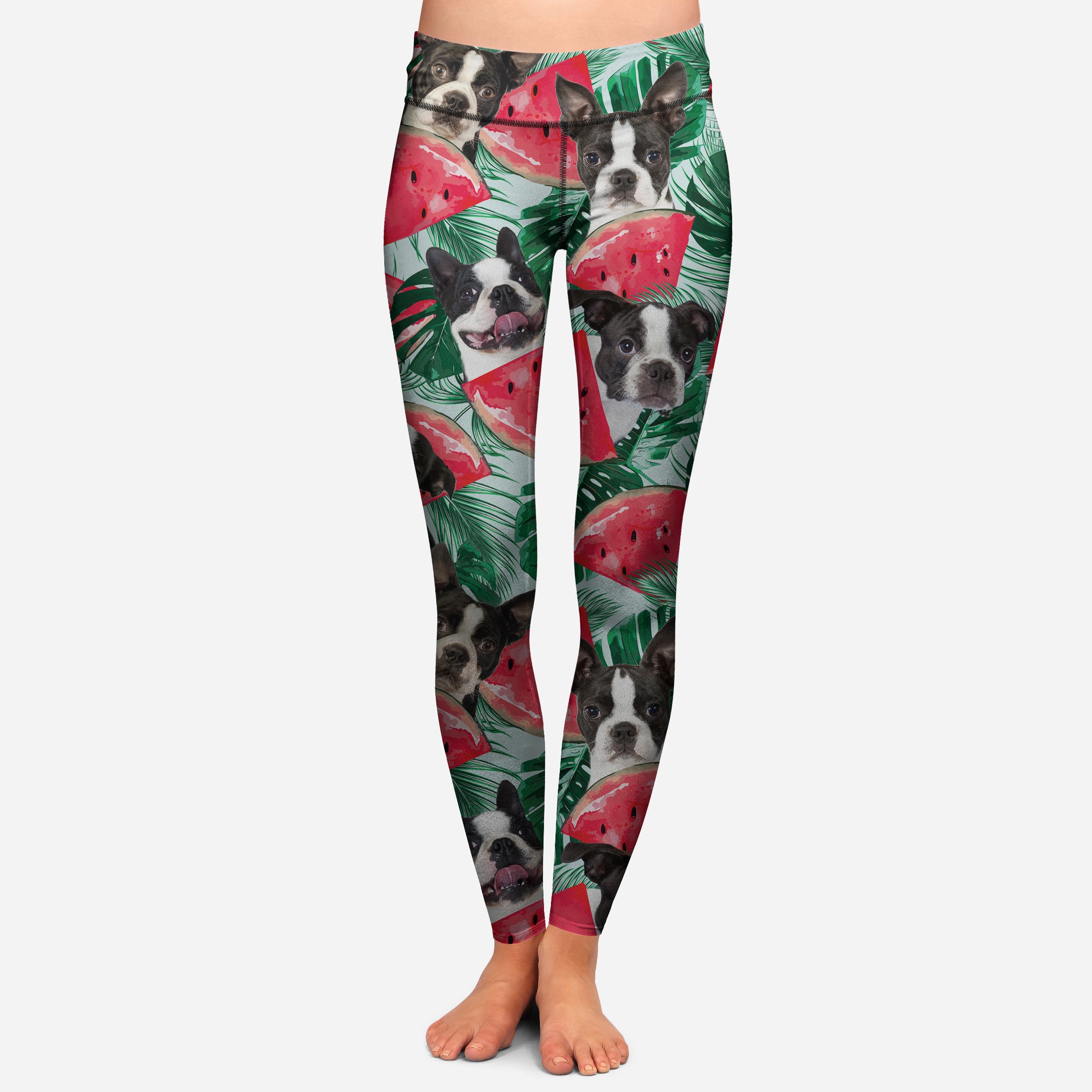 Boston Terrier – Colorful Leggings V3