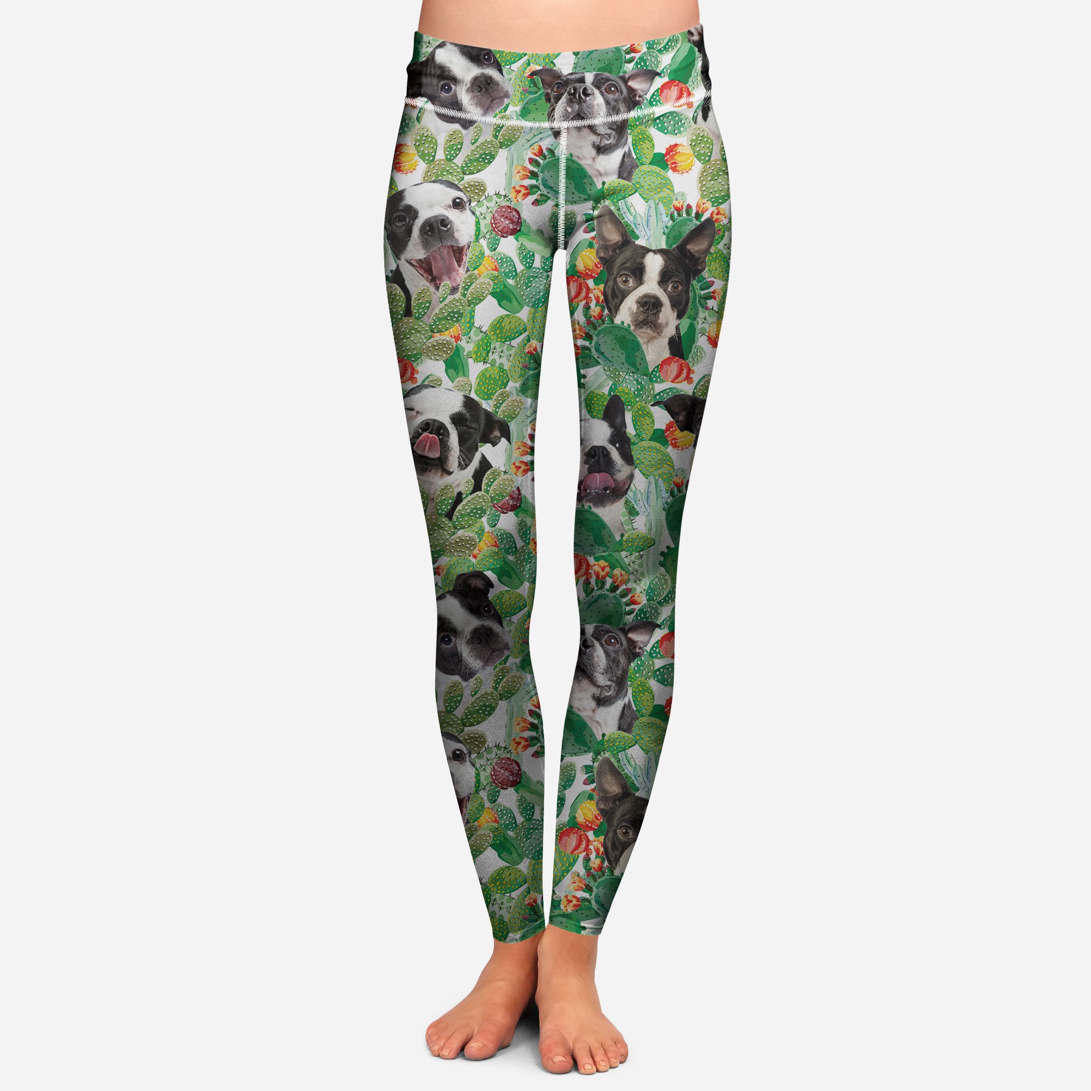 Boston Terrier – Colorful Leggings V4