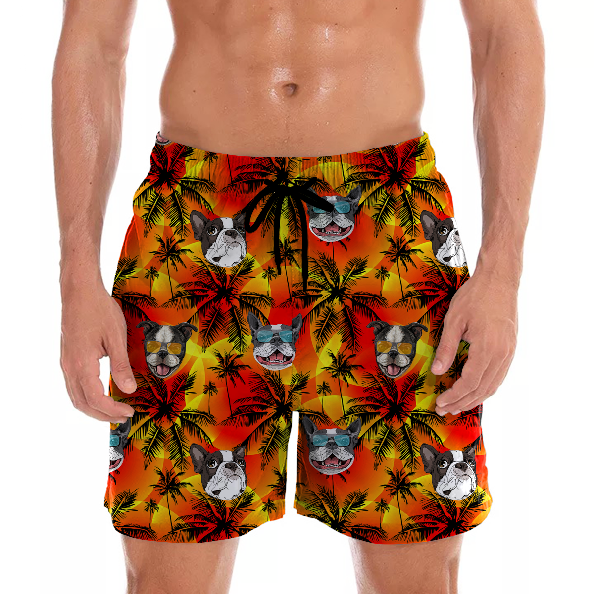 Boston Terrier – Aloha Hawaiian Shorts V2