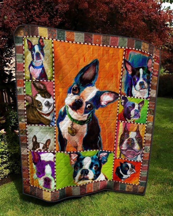 Boston Terrier Quilt CUSHZ