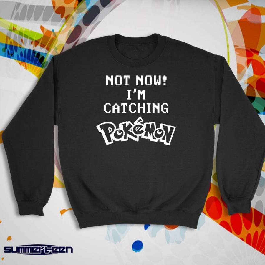 Catching Pokemon Go Hunt Mens Gamer Mystic Instinct Valor Gift Women’S Sweatshirt