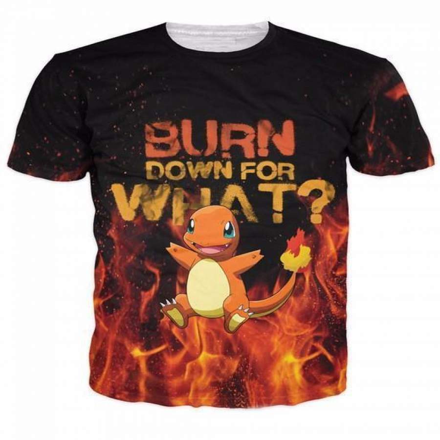 Burn Down For What Pokemon Go Charmander Fire Flames 3D Print T-Shirt 3D All Over Print