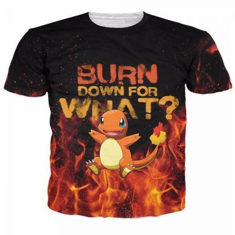 Burn Down For What Pokemon Go Charmander Fire Flames 3D Print T-Shirt