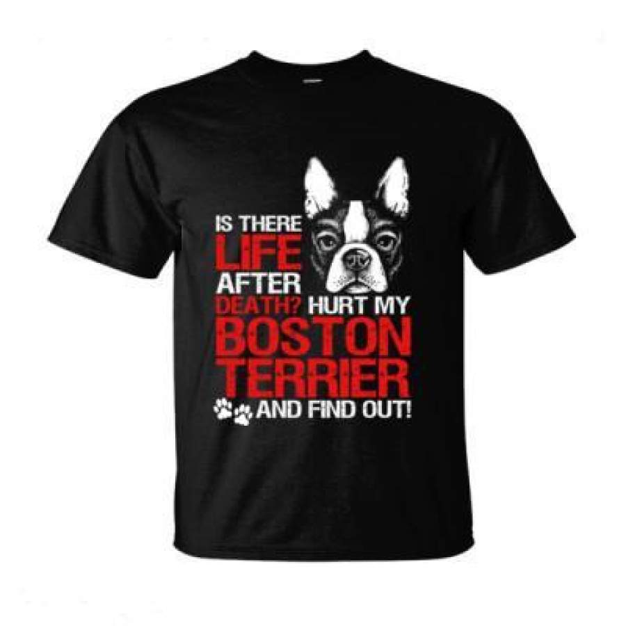 AGR Is There Life After Death Hurt My Boston Terrier Find Out – Ultra-Cotton T-Shirt