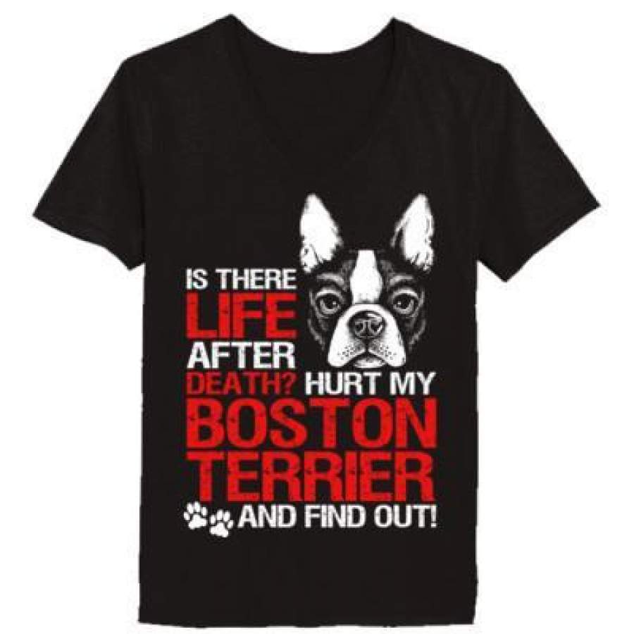 AGR Is There Life After Death Hurt My Boston Terrier Find Out – Ladies’ V-Neck T-Shirt