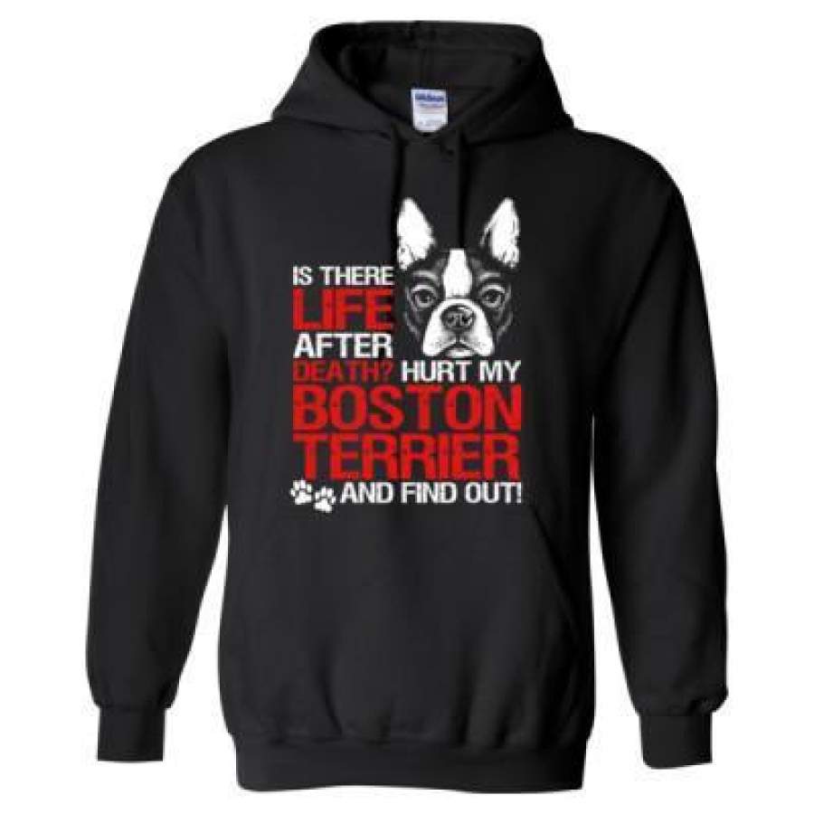 AGR Is There Life After Death Hurt My Boston Terrier Find Out – Heavy Blend? Hooded Sweatshirt