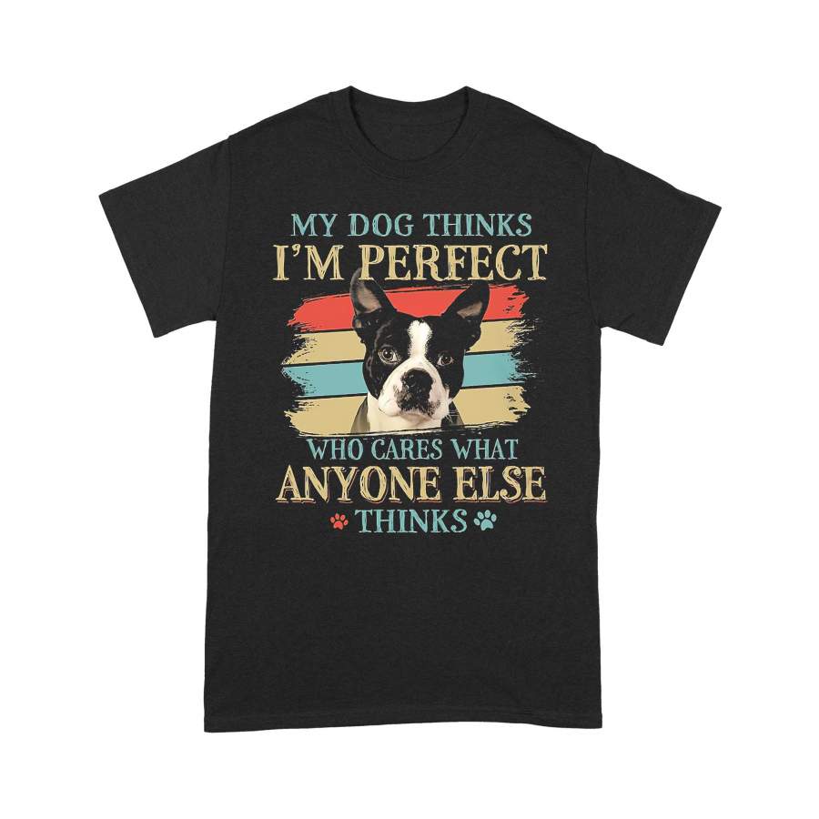 Boston Terrier My Dog Thinks I’m Perfect Who Cares What Anyone Else Thinks Vintage T-shirt