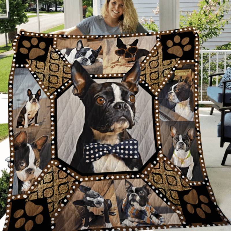 Boston Terrier You Are An Apple In My Eyes Quilt