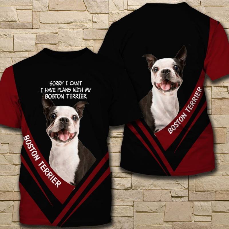 Boston Terrier H Hoodie