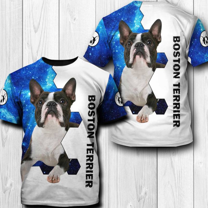 Boston Terrier Until You Hoodie