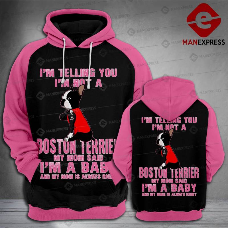 Boston Terrier Fabulous NP30 NDK060795 Hoodie