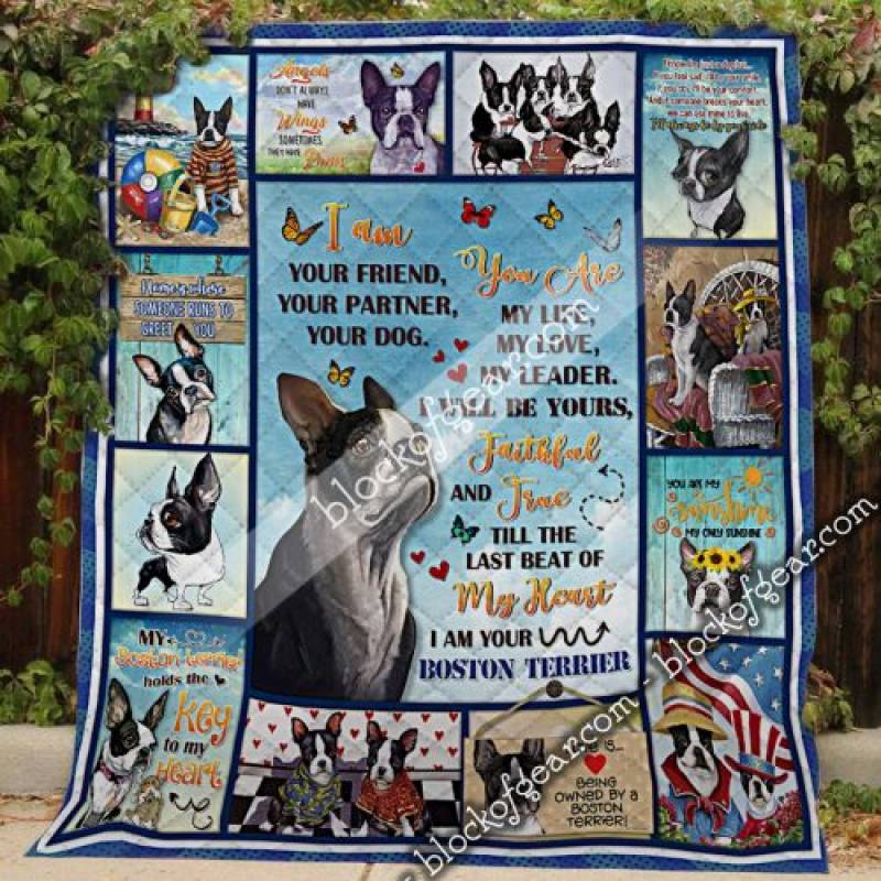 I Am Your Boston Terrier Quilt LHA528 Block Of Gear?