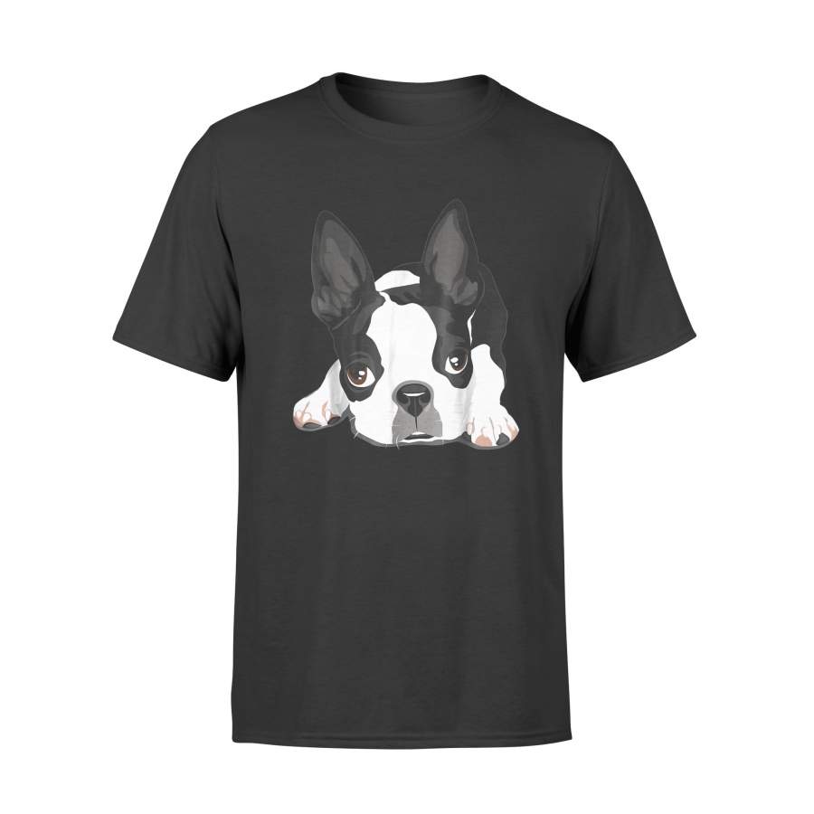 Halloween Boston Terrier Dog T-Shirt – Standard T-shirt