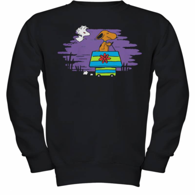 Halloween Snoopy And Woodstock Home Youth Sweatshirt