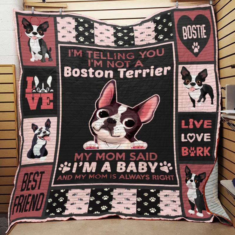 Boston Terrier Dog Quilt BT221108