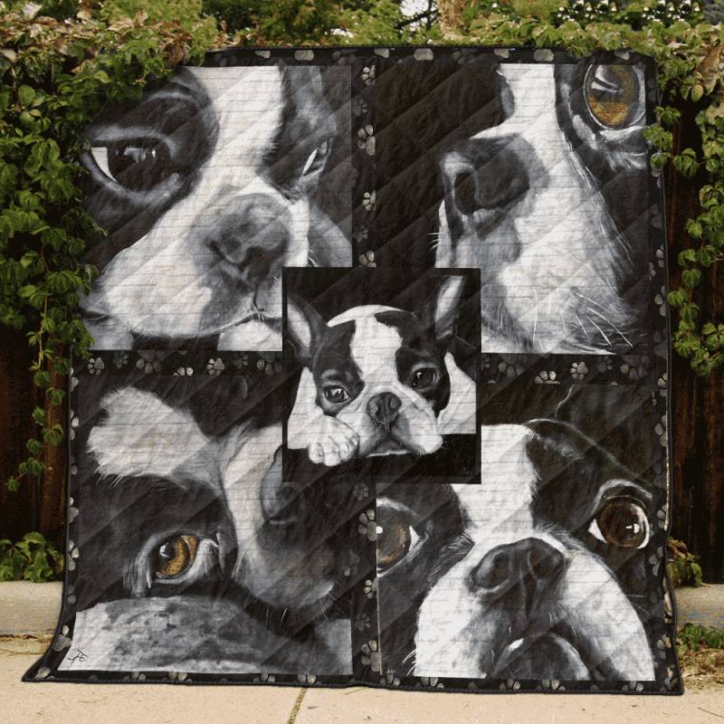 Boston Terrier ?C Falling Sky ?C Quilt BT291126