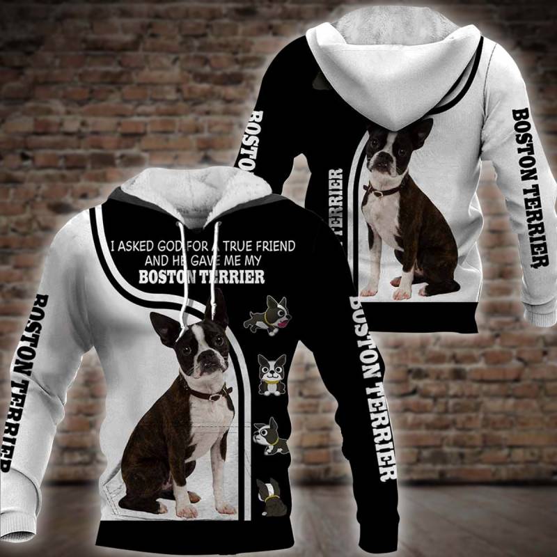 Boston Terrier-I Asked God For A True Friend All Over Printed Hoodie X041245