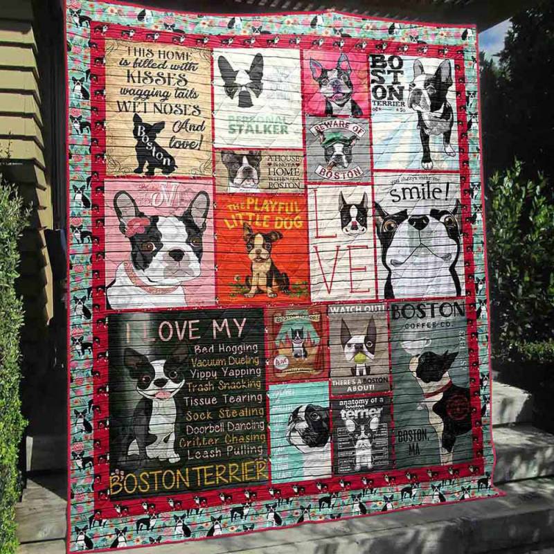 Boston Terrier ?C My Youth Is You Quilt BT061220