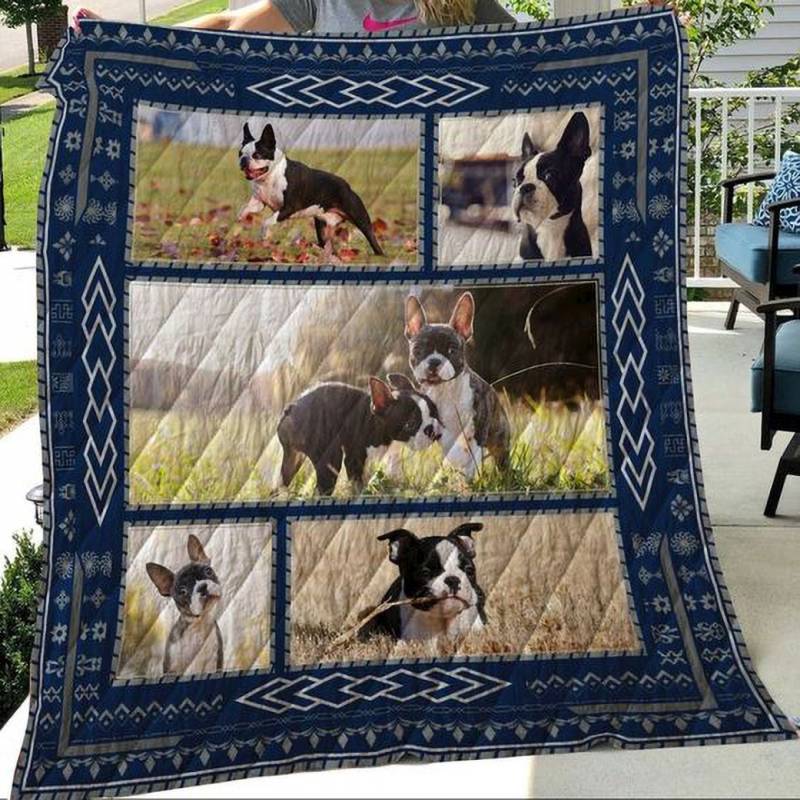 Boton Terrier ?C Boston In Sunshine ?C Quilt X060116