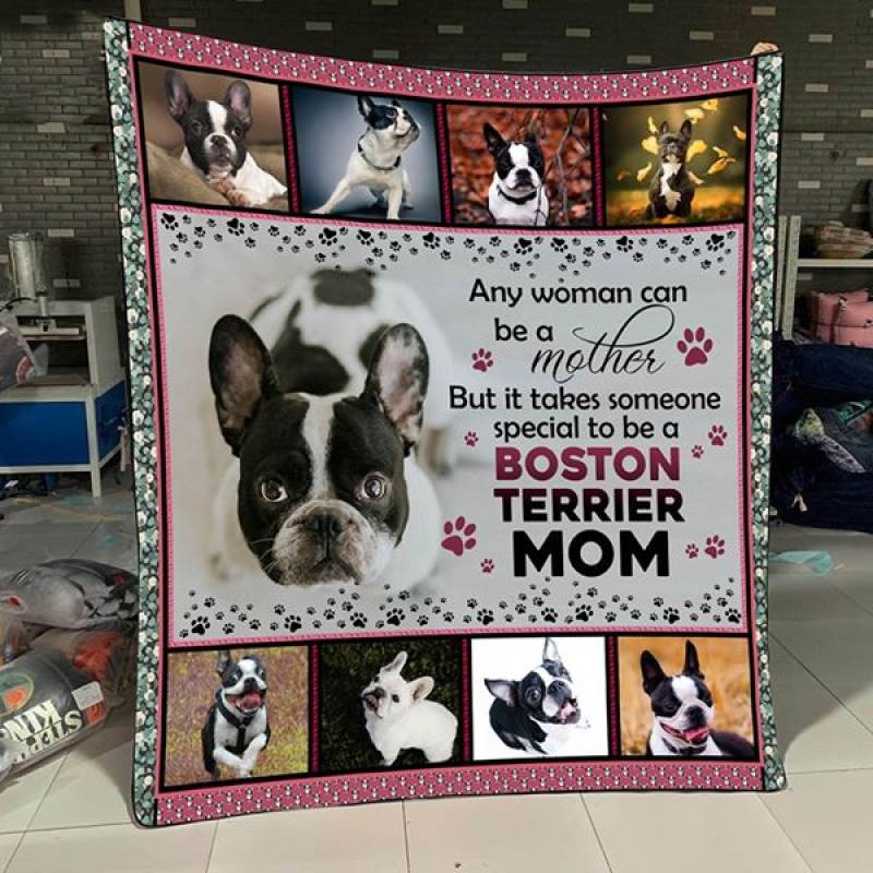 Boston Mom Quilt M090110