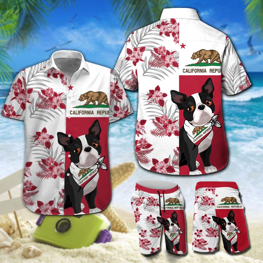 Boston Terrier California Hawaiian 31 L1VHN0210