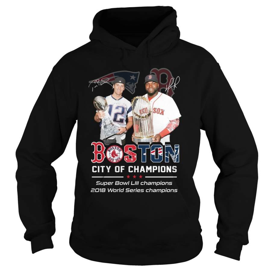 Boston city of champions Best Gift Hoodie