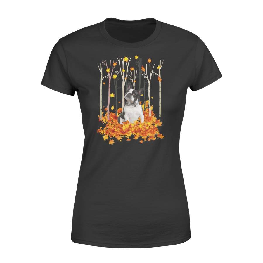 Fall Boston Terrier Women T-shirt – IPH484