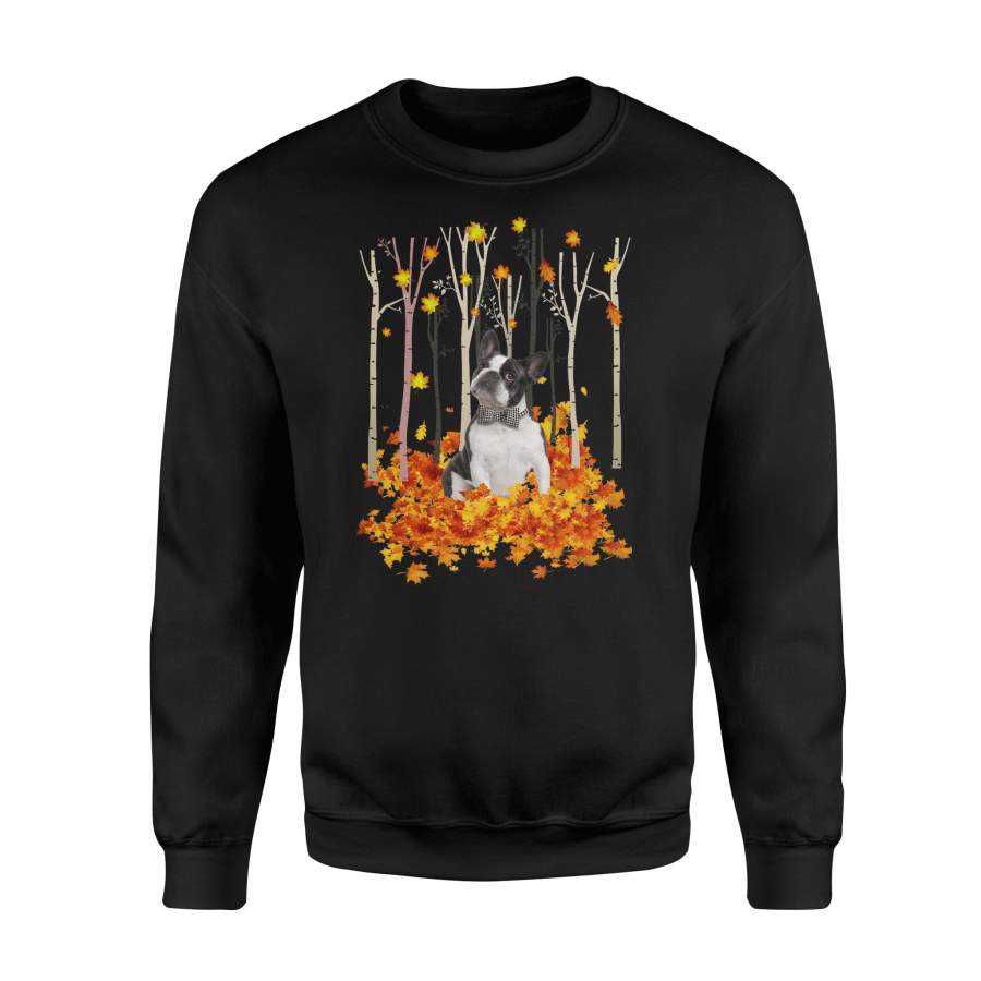 Fall Boston Terrier Sweatshirt – IPH484