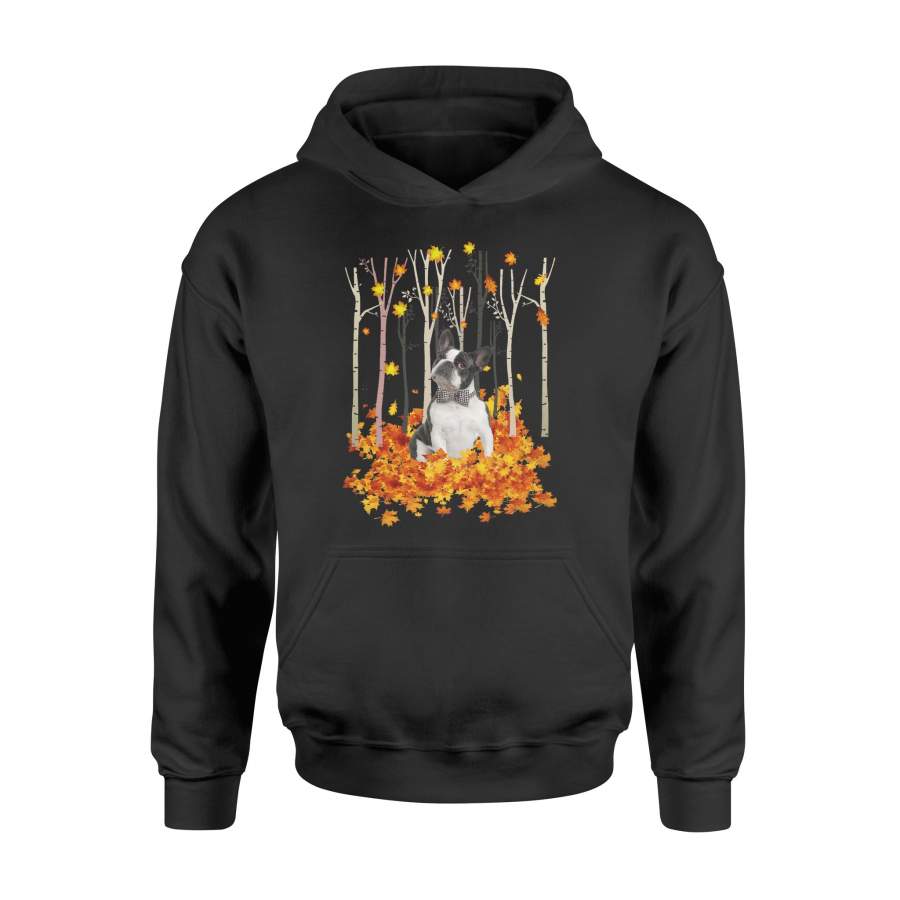 Fall Boston Terrier Hoodie shirt – IPH484