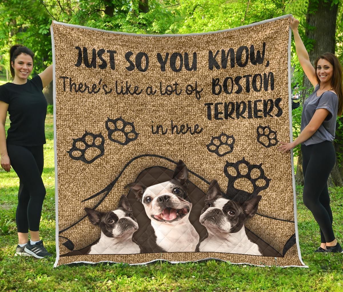 Boston Terrier You Know Quilt Gwx