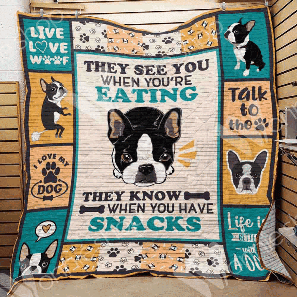 Boston Terrier When You Have Snanks Quilt Gzi