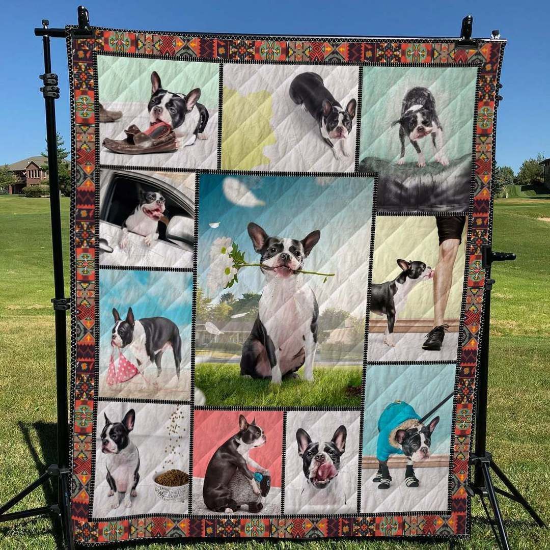 Boston Terrier Lifestyle Hur Quilt