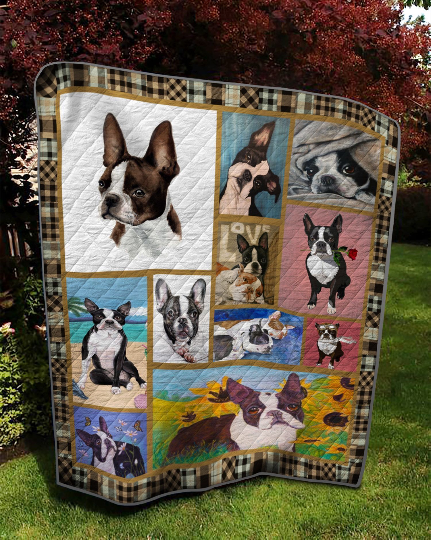 Boston Terrier Color Quilt Cilsb