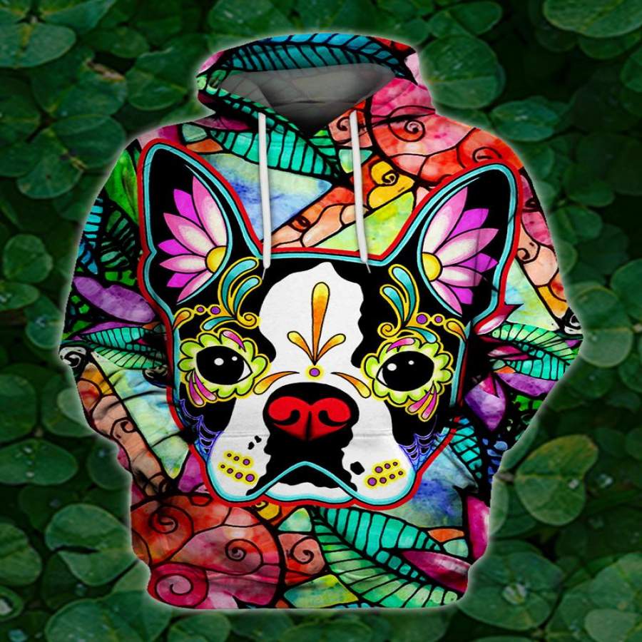 Color & Boston Terrier Hoodie